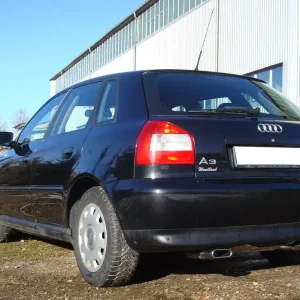 Sichere Zahlung Fox Duplex Auspuff Sportauspuff Sportendschalldämpfer für Audi A3 Typ 8L quattro
