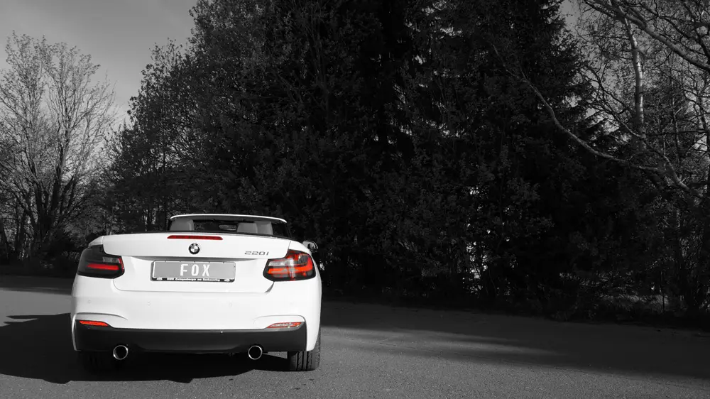 Fox Duplex Auspuff Sportauspuff Endschalldämpfer für BMW F23 220i Cabrio 2,0l Neue Ware