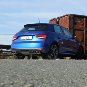 Begrenztes Angebot Fox Duplex Auspuff Sportauspuff Sportendschalldämpfer für Audi S1 quattro 2,0l