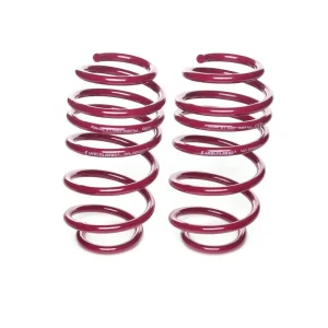 Vogtland Tieferlegungsfedern für BMW 5er E39 5/D Touring 8 Zyl. nur VA-Feder Billig
