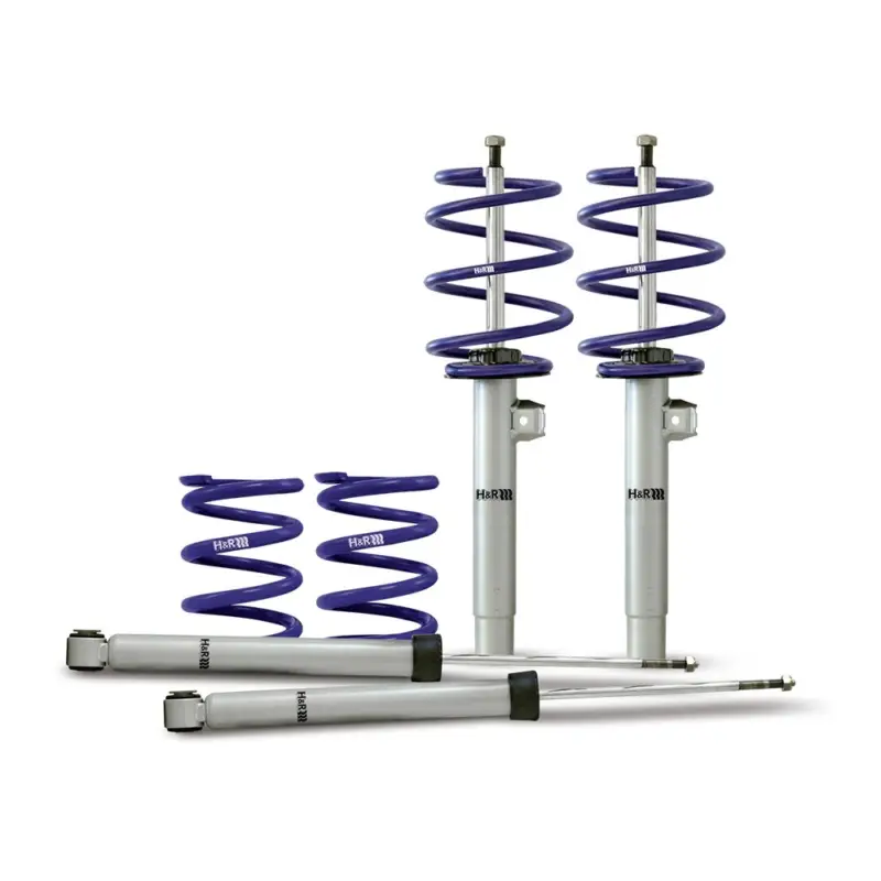 Online Kaufen H&R Cup-Kit Sportfahrwerk für Mercedes W201 190 E 2.3L/16V Bj. 08/84-93
