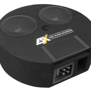 ESX DBX Dual Reserverad Reflexbox Bass Gehäuse DBX-800Q Markenprodukt