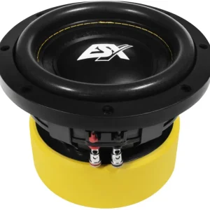Echt ESX QUANTUM Woofer Subwoofer Bass Tiefton Hifi QE-622