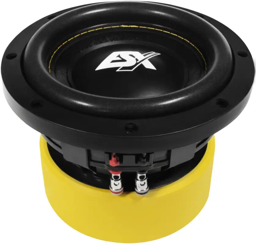 Echt ESX QUANTUM Woofer Subwoofer Bass Tiefton Hifi QE-622