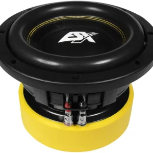 ESX QUANTUM Woofer Subwoofer Bass Tiefton Hifi QE-822 Online Kaufen