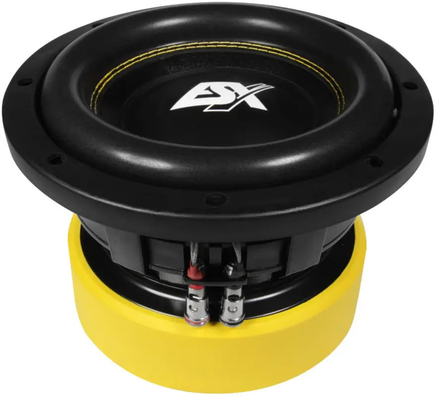 ESX QUANTUM Woofer Subwoofer Bass Tiefton Hifi QE-822 Online Kaufen