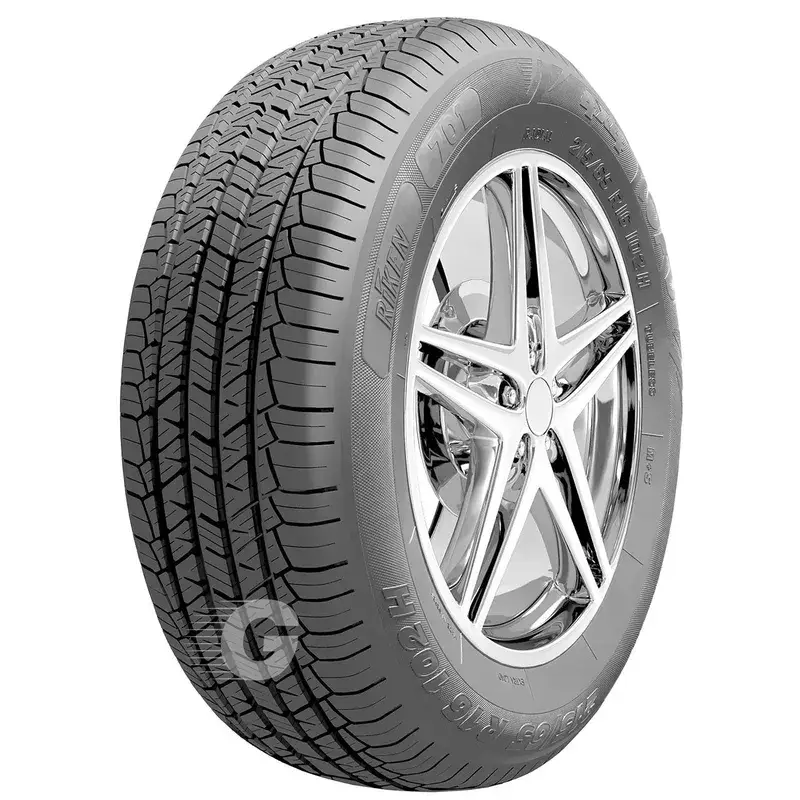 Jetzt Kaufen Sommerreifen Riken 235/55 R18 100V TL 701