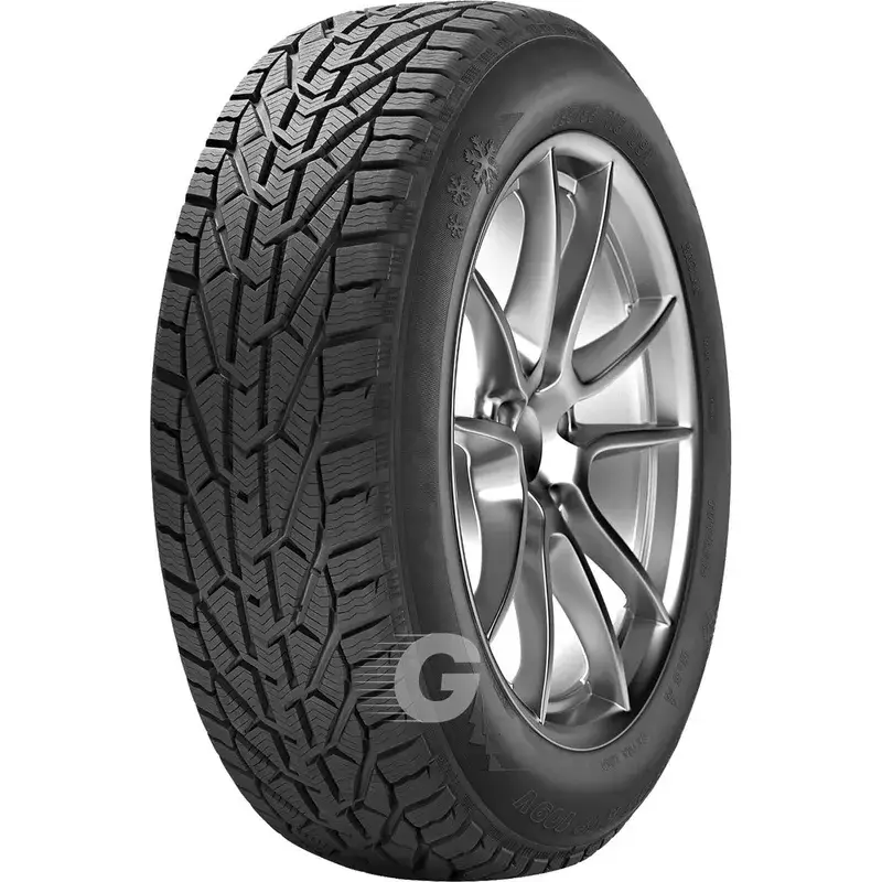 Winterreifen Riken 225/45 R17 94V TL Snow Neu