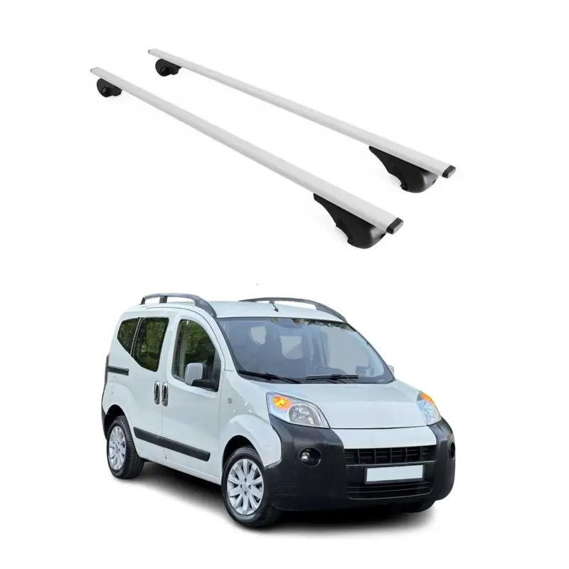 Dachträger Grundtäger für Citroen Nemo 2008-2017 75kg Metall Silber 2 tlg Must-Have