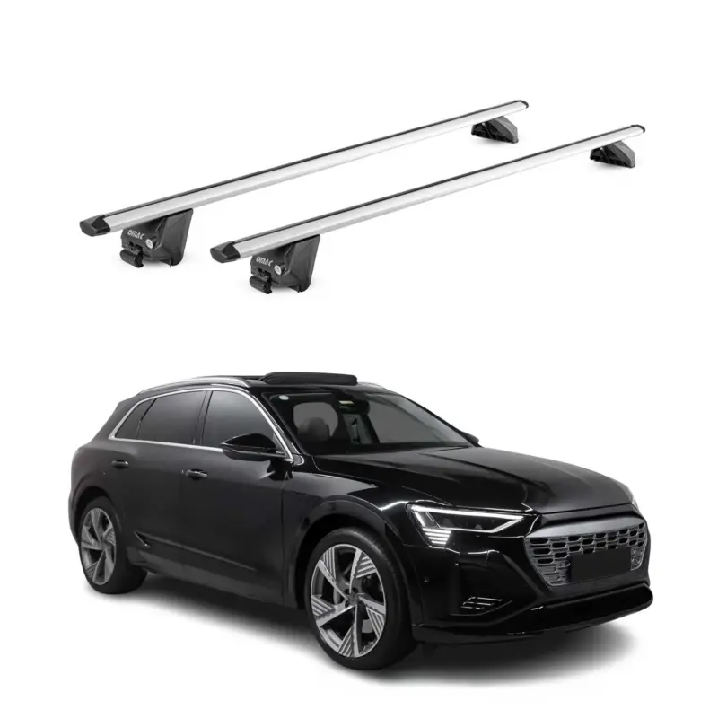 Ausverkauf Dachträger Grundtäger für Audi e-Tron 2018-2025 100kg Aluminium Silber 2tlg ABE