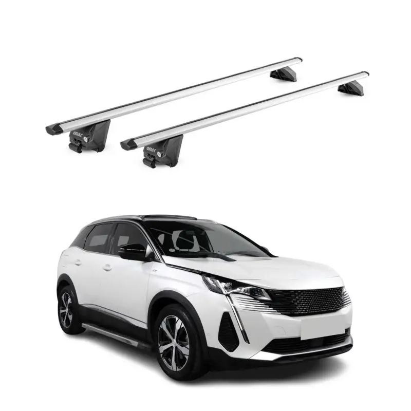 Dachträger Grundtäger für Peugeot 3008 2016-2023 100kg Aluminium Silber 2tlg ABE Schnäppchen